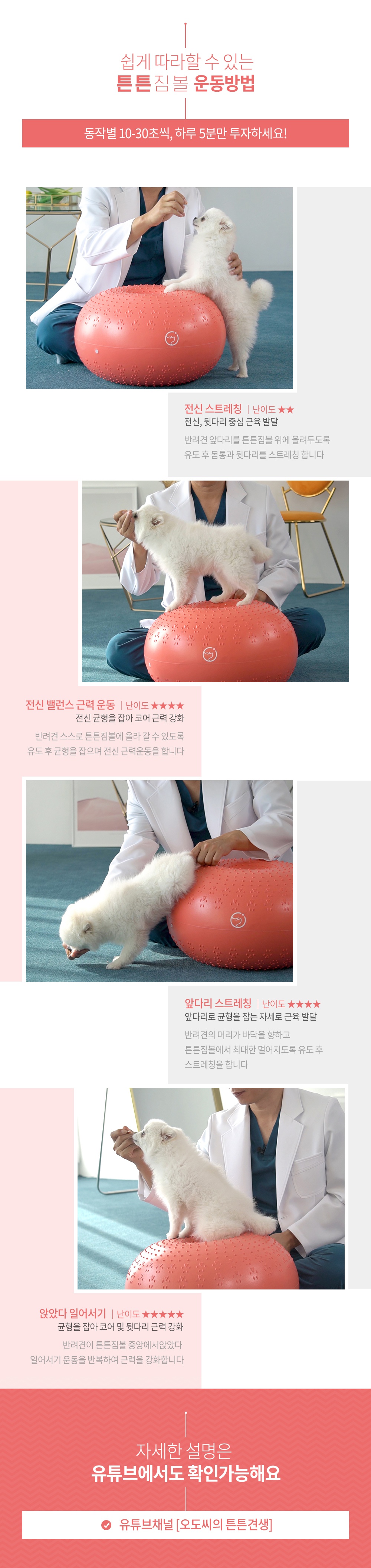 반려견 운동기구 튼튼짐볼+홀더 (단품/세트)-상품이미지-27