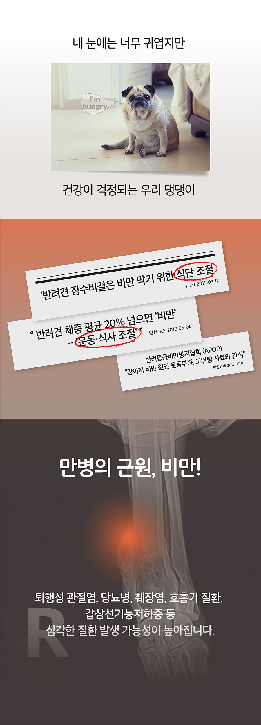 it 잇쭈 프로 도그 체중관리 (8개입)-상품이미지-2