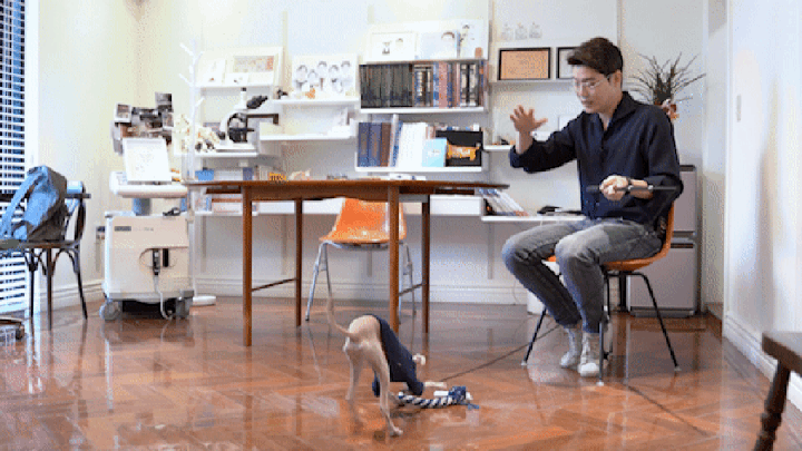 닥터설 터그 낚시대 (실타래/터그링)-상품이미지-6